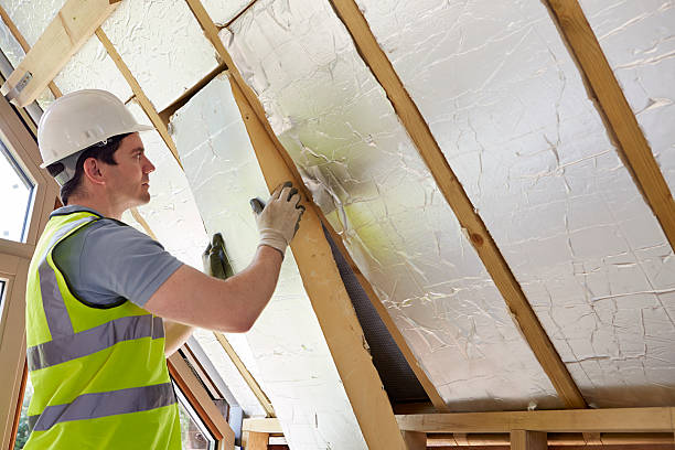 Best Wall Insulation Contractor  in Port Huron, MI